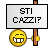 Sti caxxi